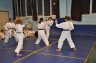 016 TELETHON 2009 Jyu Ippon Kumite.JPG 